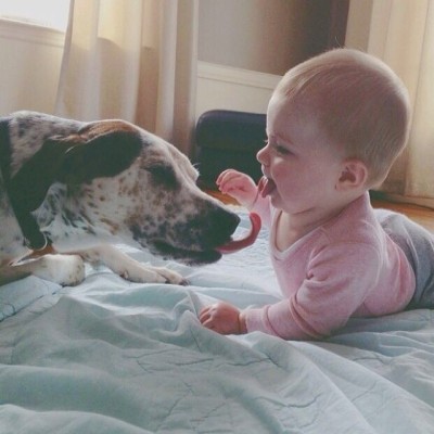 ellendegeneres:
“We both have tongues! http://ellen.tv/1uk1kQ1
”