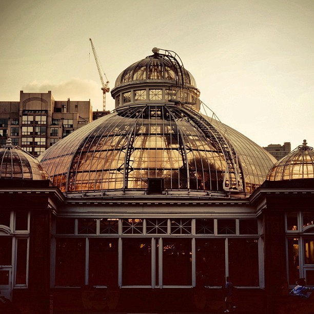 Allan Gardens 2013.05.29 #allangarden #sun #dome (at Allan Gardens)