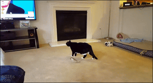 bunnyfood:Same.