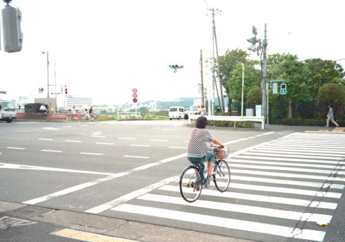 中河原 横断歩道を渡るひと Fuchu-si, Tokyo by ymtrx79g
