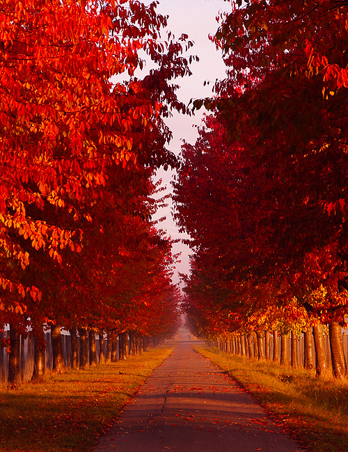ohdeutschland:  Stuttgart (Baden-Württemberg) - taken by doenerpoldi 