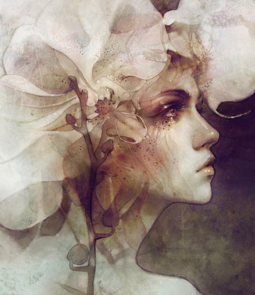 bestof-society6: ART PRINTS BY ANNA DITTMANN 