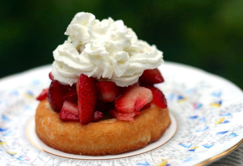 the food blog.