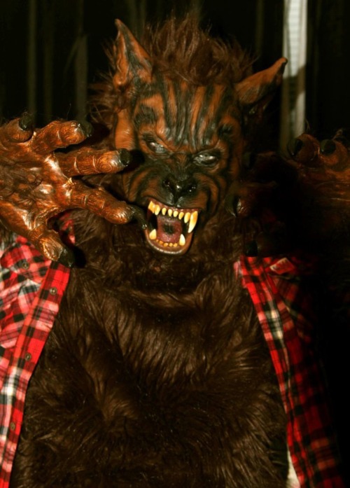 glumshoe: Red plaid flannel: the clothing of choice for lumberjacks, lesbians, and lycanthropes.