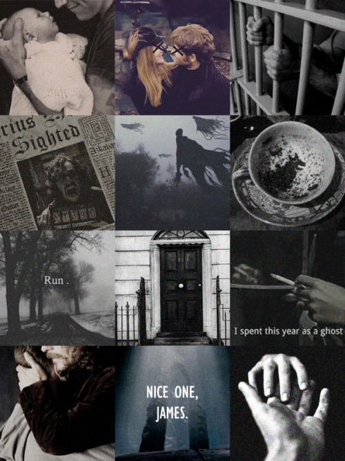 winter&ndash;padfoot: A Sirius Black Aesthetic “Does it hurt?”  The childish qu