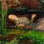 lyre-not-liar