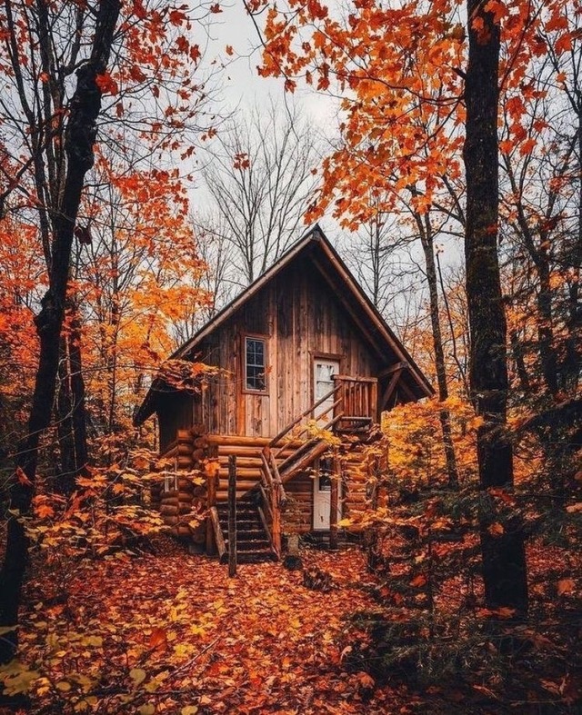 fallingforfall13:Where would you like to live and enjoy the autumn scenery? 🧡🤎