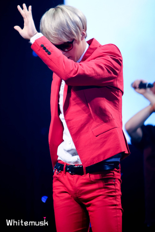 hairykpoppits: [REQUEST] K-POP BULGE SPAM