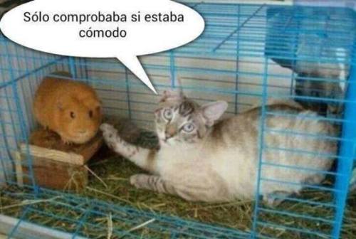 http://kikegalleta.tumblr.com/post/109690776575