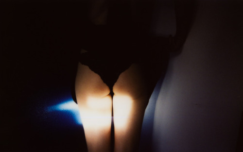 Daisy / half-hidden in light — from INSTANTS •32Instax Wide 300 - Fujifilm© clybee.c