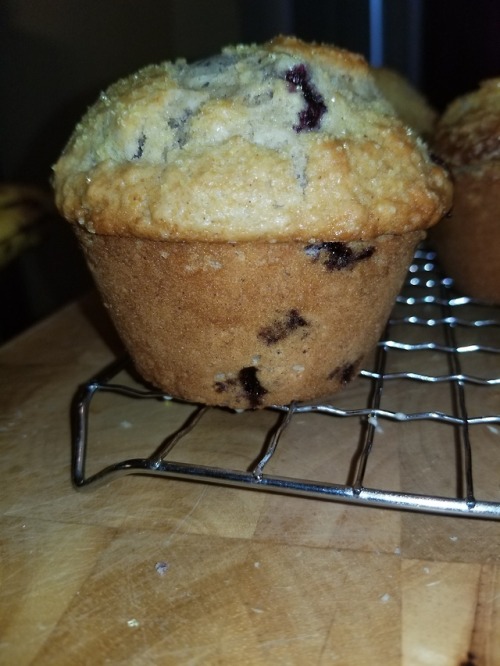 Porn photo Homemade Blueberry Buttermilk Muffins with
