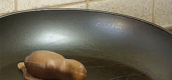 thenatsdorf: Candy unmelting. [full video]