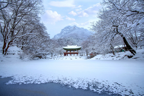 fuckyeahjapanandkorea: Jeonju Hanok village &amp;  Baekyangsa Temple by tawatchai prak