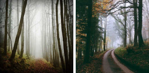 foxmouth:  Instagram, 2014 | by Finn Beales + @finn on Instagram