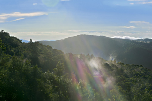 Sunlight and camera flare on mist rising after a summer rain.  Looking West from Appalachian Gap, Ca