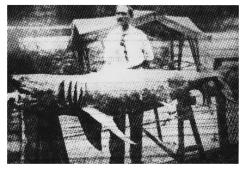 How 1916's Matawan Man-Eater Made Us Afraid of Sharks Today