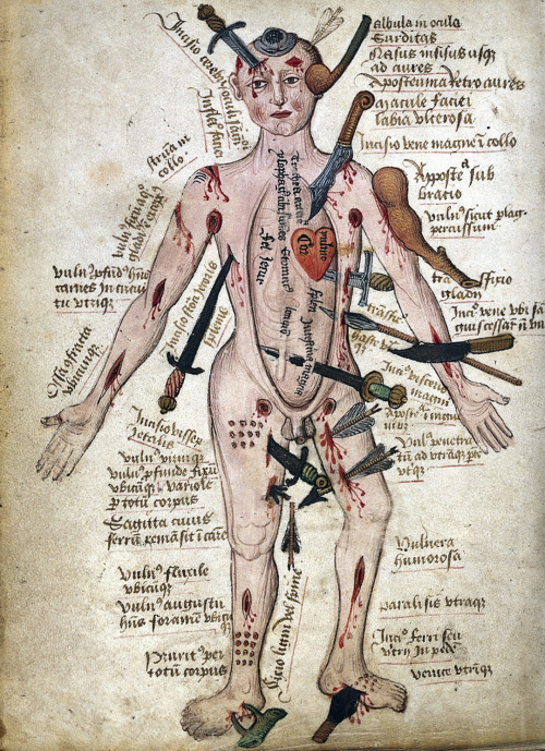 wound man Pseudo-Galenus, Anathomia, England 15th century.London, Wellcome Library, MS.290, fol. 53v