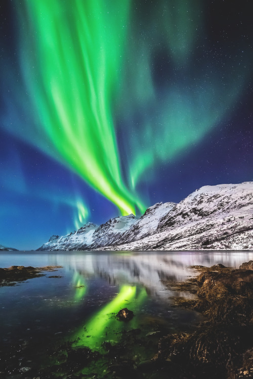 wnderlst:  Aurora Borealis in Norway | sinueserra1 