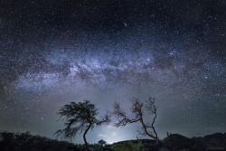 superbnature:  Maui Milky Way by billdpix http://ift.tt/1sDMROP