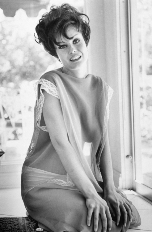 Sex onlygreatboobs:  Lana Wood pictures