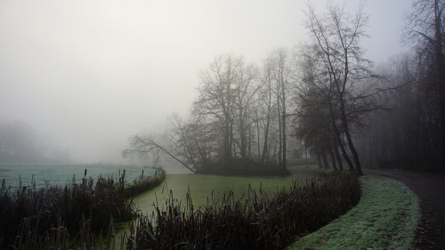 Mist bij Brakels bos 14-12-2014 by Walter van Ooijen on Flickr.