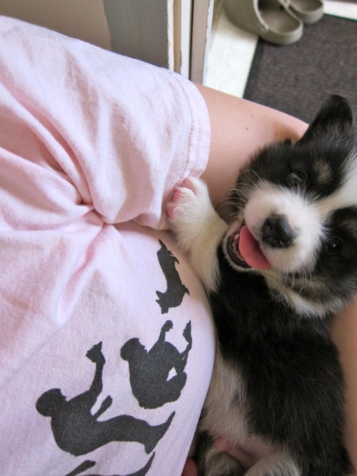 poopster:  throw back Thursday BABY PUDGE 
