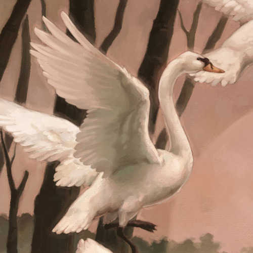 A few close-ups from my latest painting, the Tale of the Swan Brothers!This one was inspired by the 