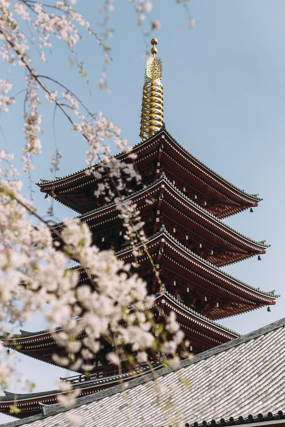 My past week on Japan