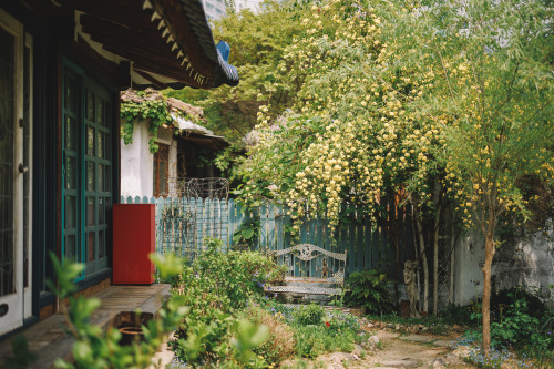 2022-04-24Cafe The fragrant gardenCanon EOS R6 + RF50mm f1.2LInstagram  |  hwantastic79vivid