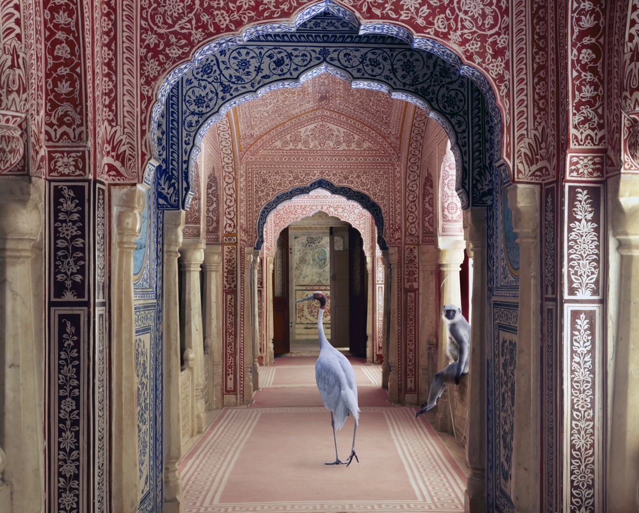 cerceos:    Karen Knorr - India Song