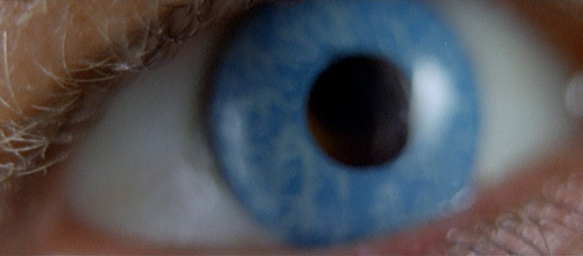 watching-pictures-move:All the Colors of the Dark (Martino, 1972)