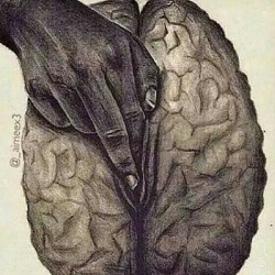 sircwrigargall:  The mind is the largest sex organ and the most untapped potential.  If you’re not going to fuck her mind, don’t bother trying to fuck her anywhere else.