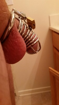 mrandmrskink1:  show-us-your-locked-cock