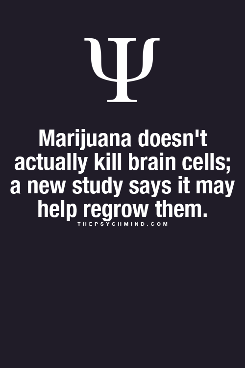 suicidal-aubergine:  thepsychmind:  Fun Psychology facts here!  !!!! @420studios @420weedgraphics @m