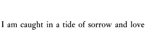 Franz Kafka, From A Letter To Milena Jesenka Featured In "Letters To Milena,"
