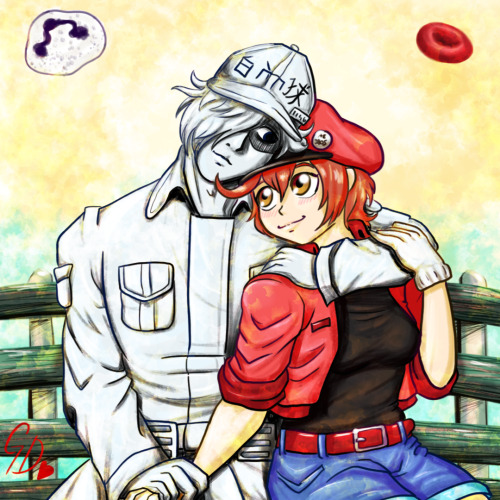Its Been Ages Since I Posted Here. This Fandom Is Probably Dead, But Have My Favourite Anime Ship In