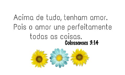 magia d sol