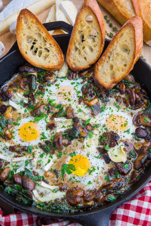 hoardingrecipes:  Mushroom and Brie Baked Eggs