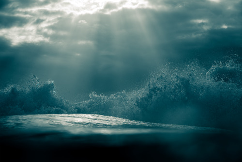 Immersed in Lightwww.WarrenKeelan.com