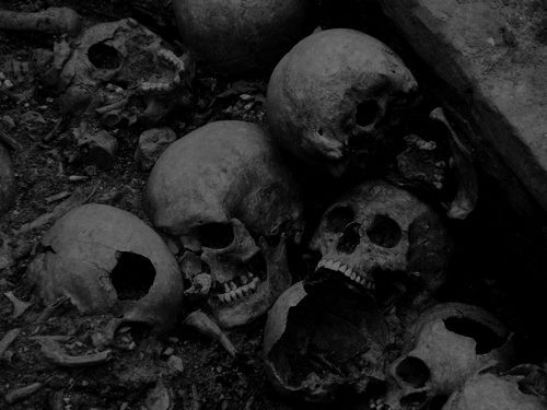 Nascentes morimur