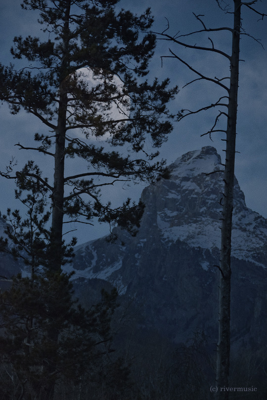 The Moon in Teton Pines: (c) riverwindphotography