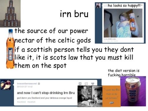 ohmyactualdog:sevenbuddftba:IF UR AMERICAN DON’T CALL URESELF “SCOTCH” CAUSE A) UR NOT B) NO ONE SAY