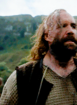 valiantnedspreciouslittlegirl:A dog can smell a lie, you know, the Hound had told her once. She coul
