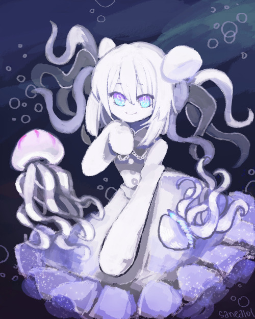 jellyfish