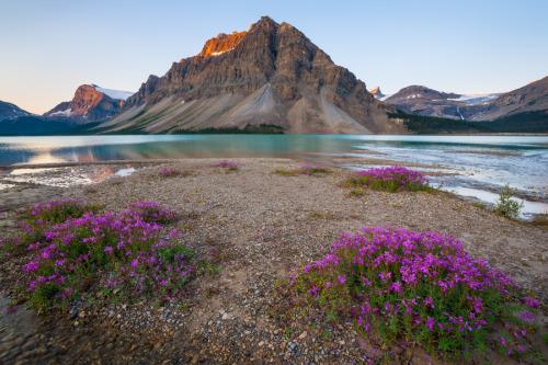 (by Jason Hatfield)