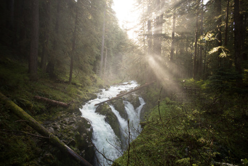 lobo-de-luna:Sol Duc Falls