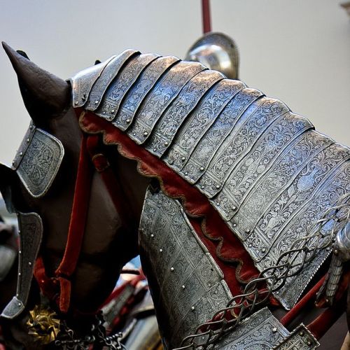 pomaranczbolu:medieval horse armor by ampangmarin