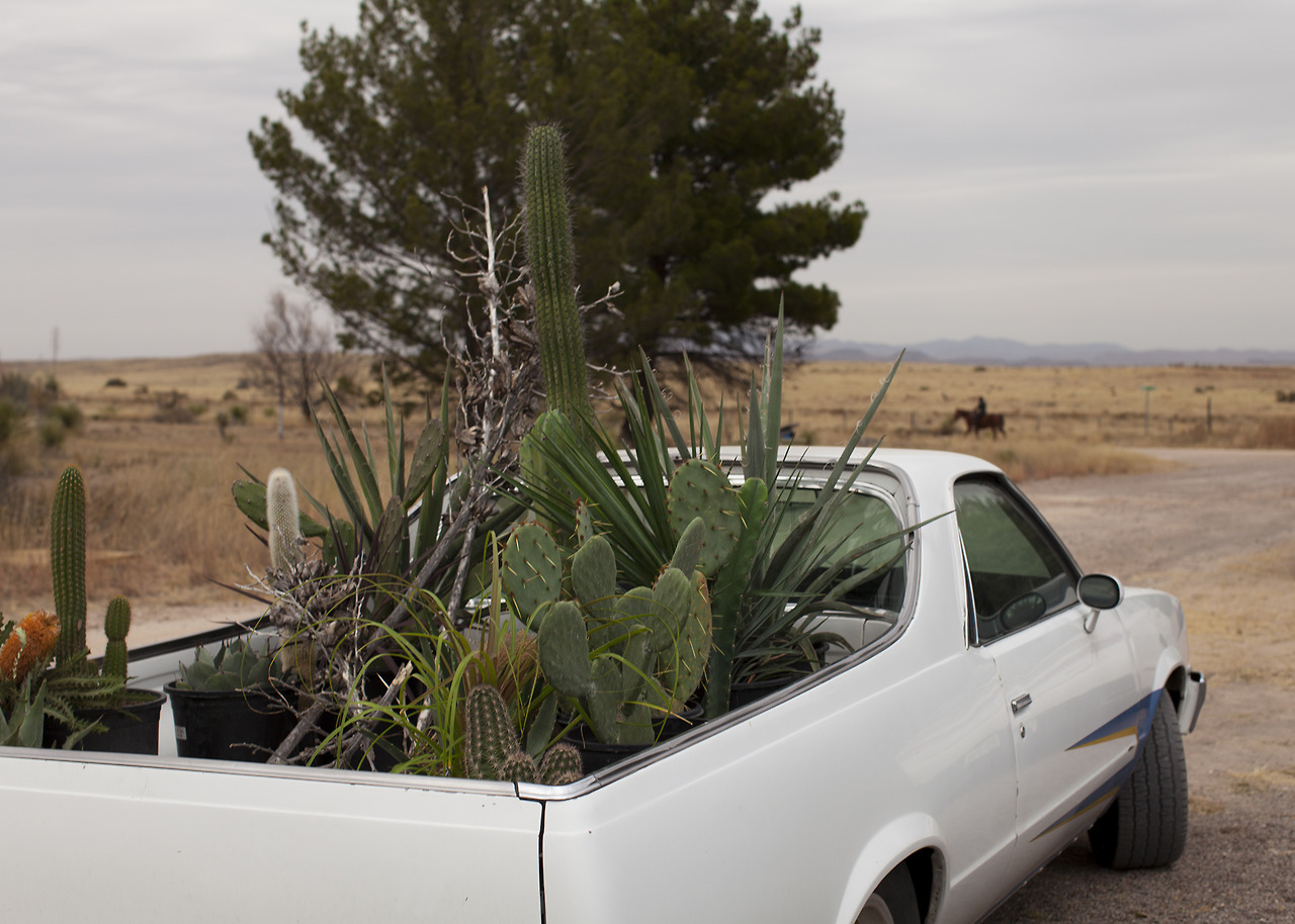 nickbarranco:  Green With Envy Marfa, Texas Dec. 2017 