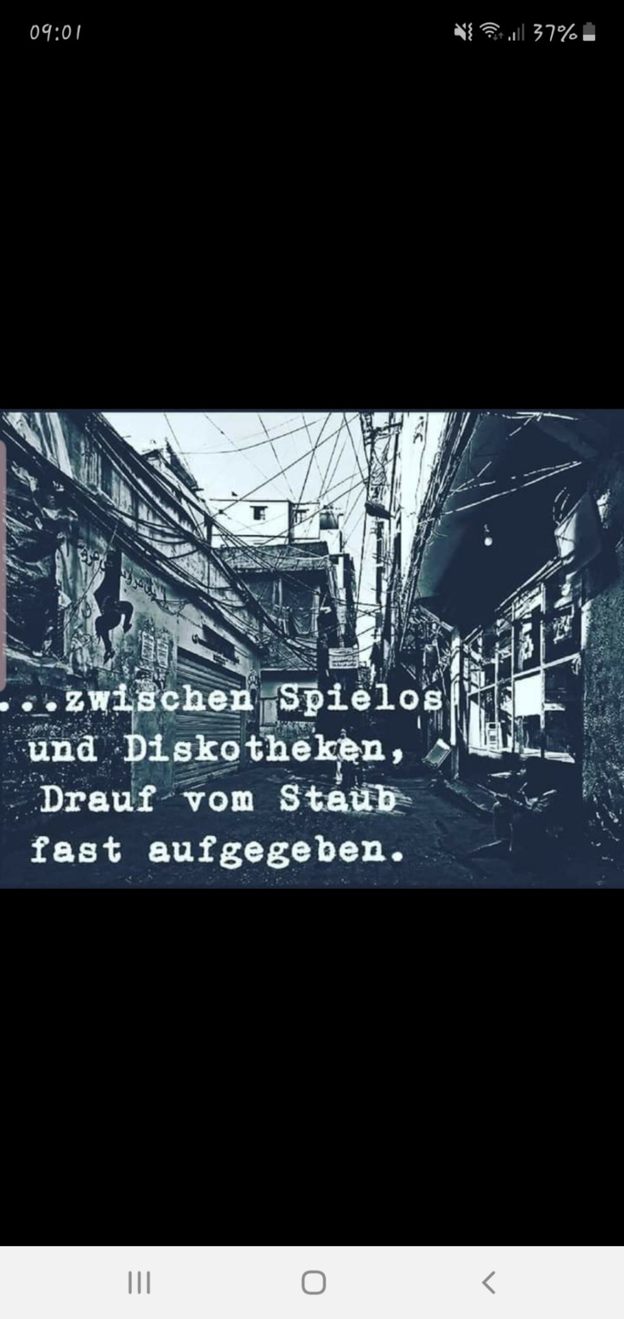 Das Leben besteht nicht nur aus Pommes & Disco🖕