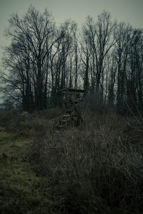 ghostlightlibrarian - Library of Ghostlights